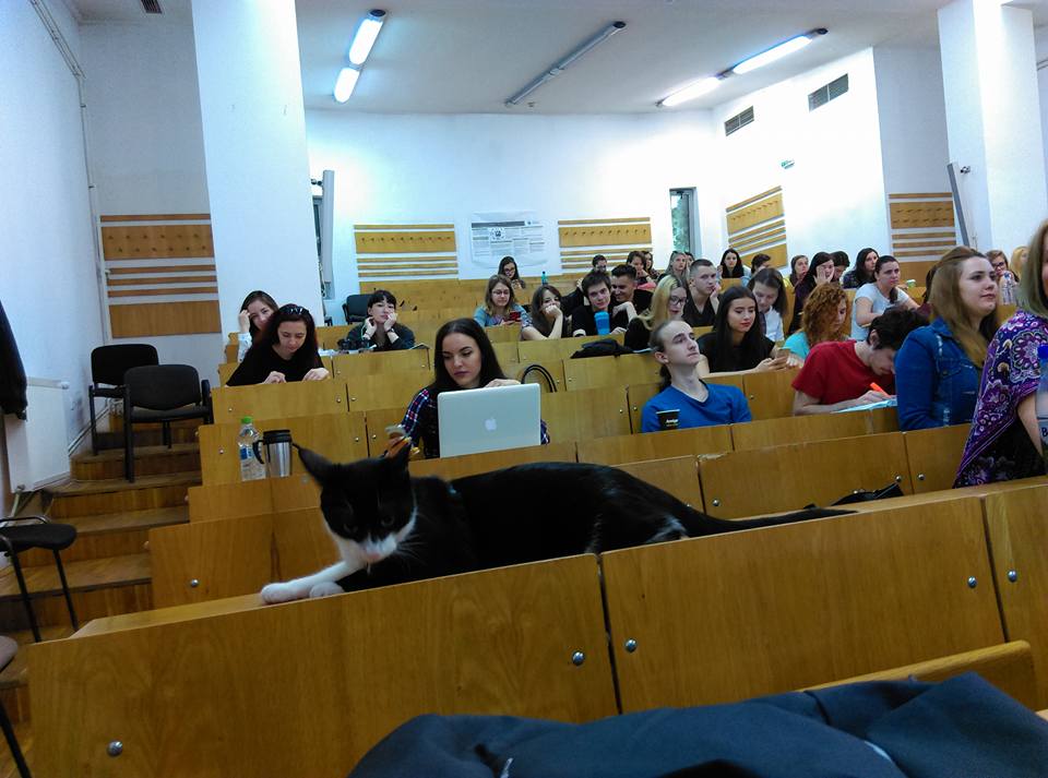 18221703_10154533862413568_3620704233687643405_n