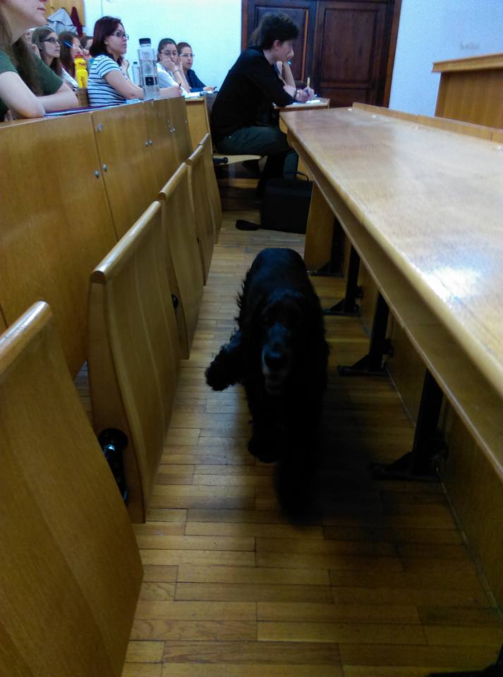 18301482_10154533862328568_2484683521299576282_n