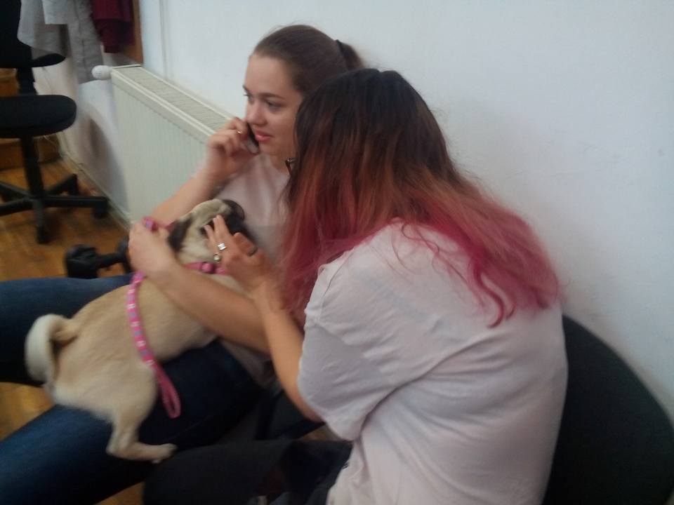 18301938_10155361302866209_5561925349070885768_n