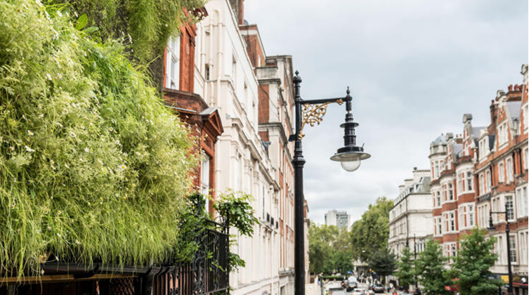 18386394_1320061594775376_1073030987_n