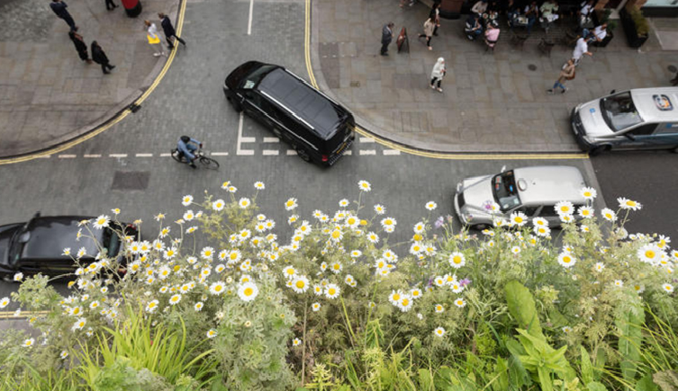 18424962_1320061578108711_957796344_n