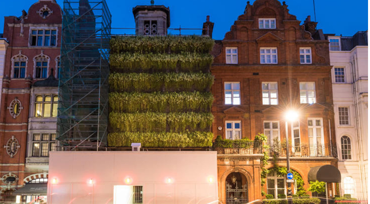 18425919_1320061588108710_47172472_n