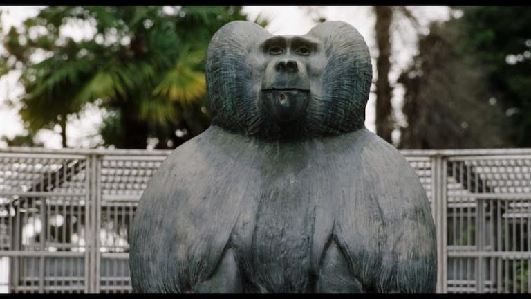 Documentarul „Ouăle lui Tarzan” - în premieră mondială la TIFF 10 Ouăle lui Tarzan