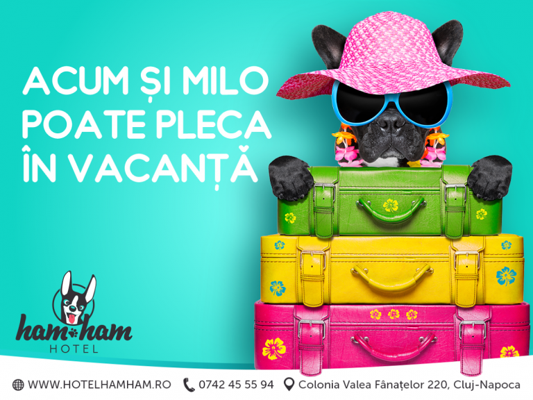 Cazare şi servicii ultramoderne pentru câini şi pisici la Hotelul HamHam din Cluj-Napoca începând din luna iulie (P) 4 hotel HamHam
