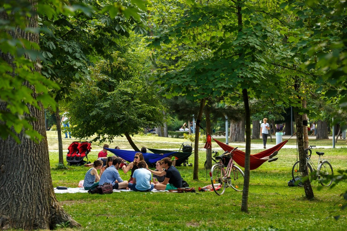 20116907_1429890050433149_6360122839547563936_o