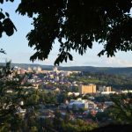 Atlasul Păsărilor Clujului