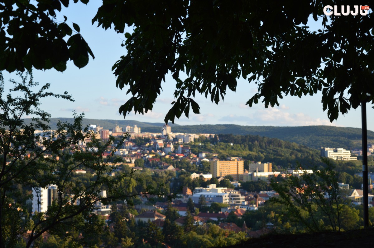 Atlasul Păsărilor Clujului