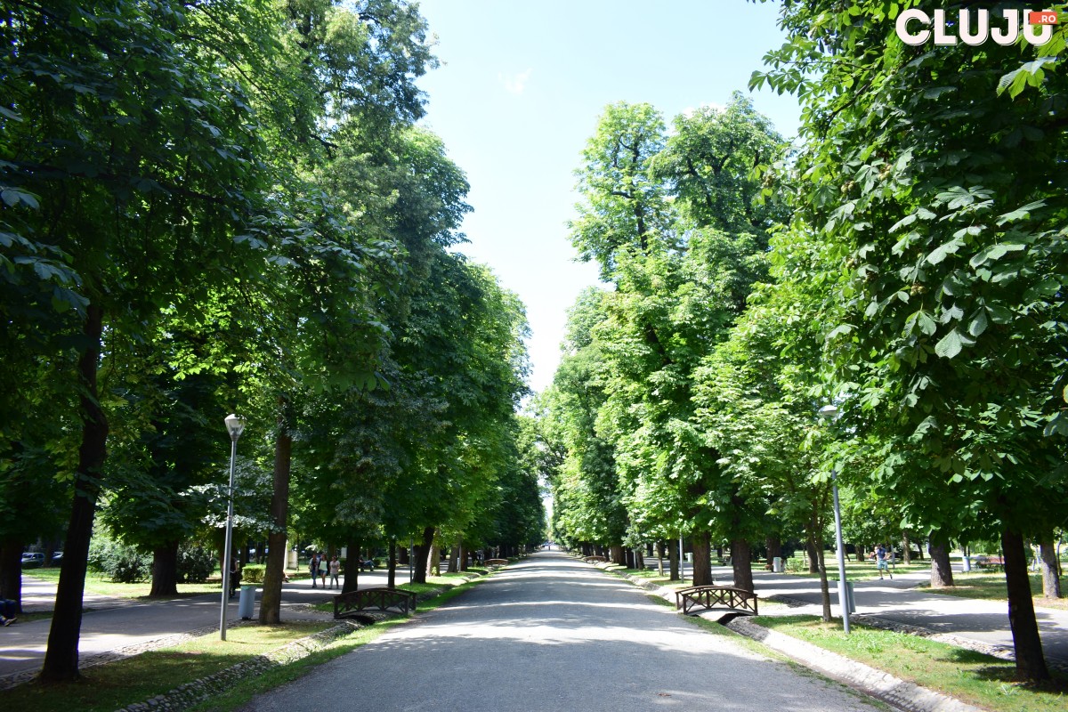 Parcul Central