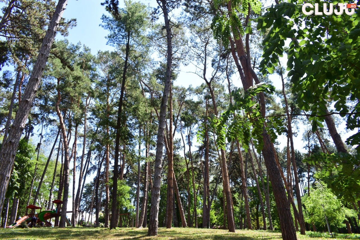 Parcul Iuliu Prodan cluj