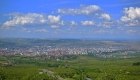 feleac 1