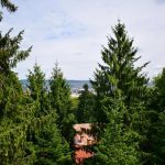 gradina botanica 1
