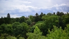 gradina botanica 2