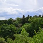 gradina botanica 2