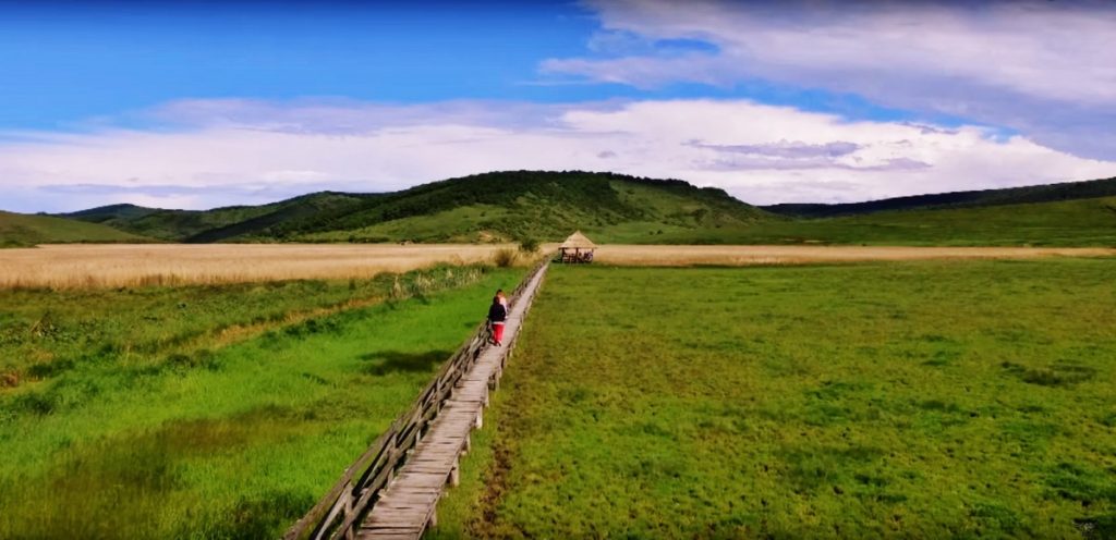 stufarisul de la sic