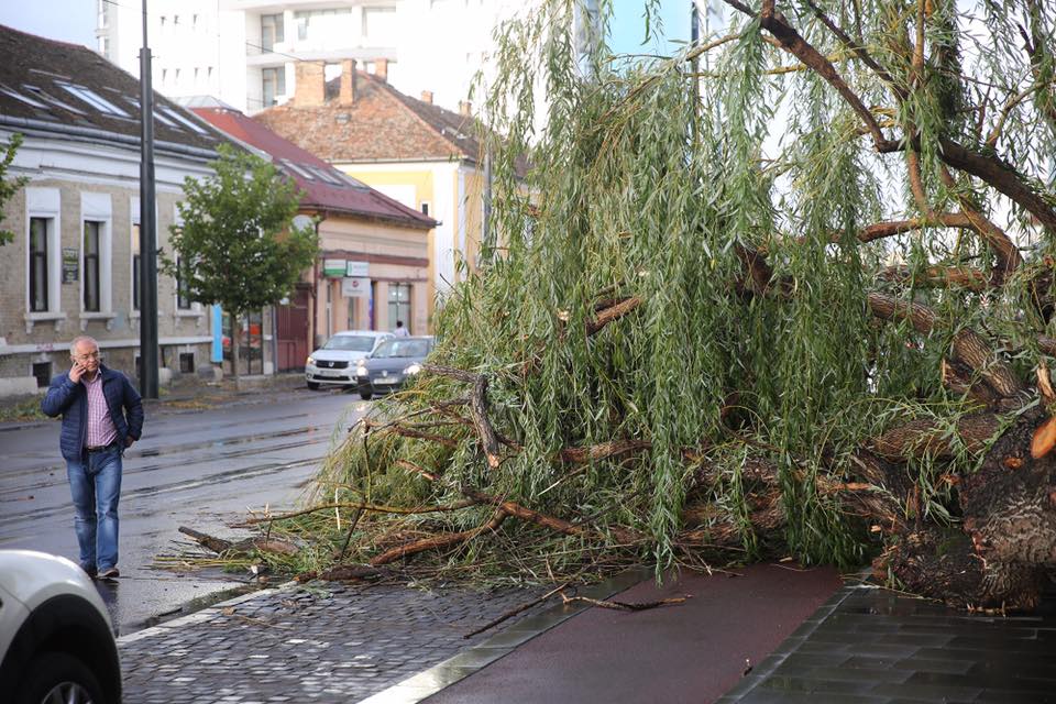 21462848_1485854381503382_7743555187867319960_n