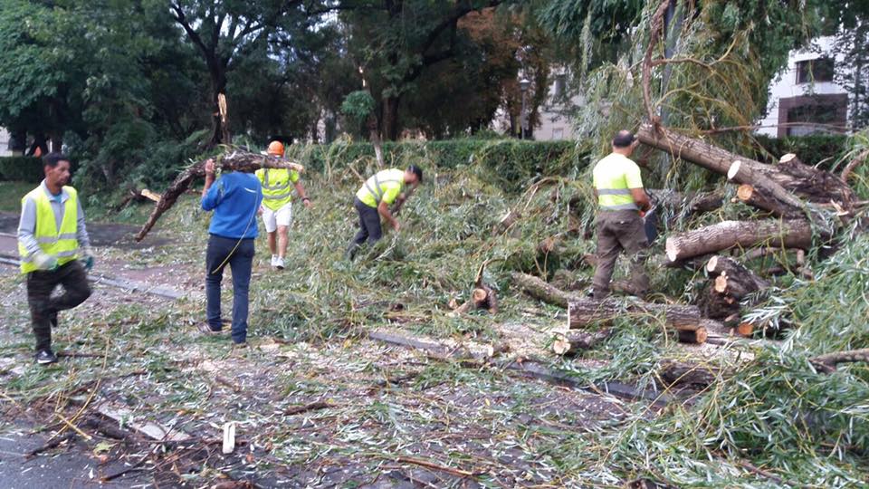 21740412_1485854384836715_448969634951544773_n