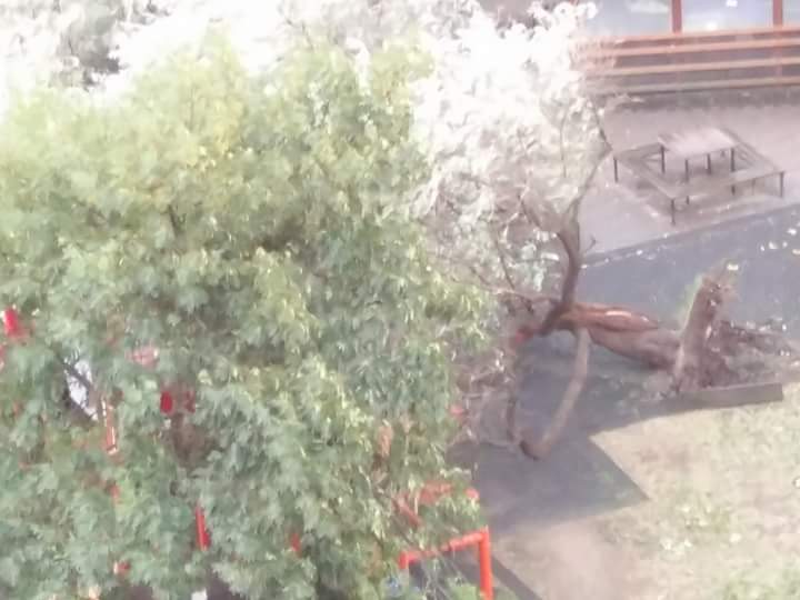 FB_IMG_1505679687513