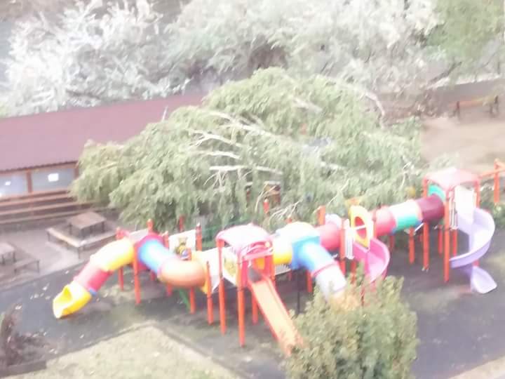 FB_IMG_1505679692460