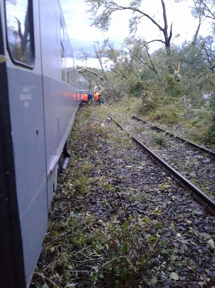 FB_IMG_1505679702813