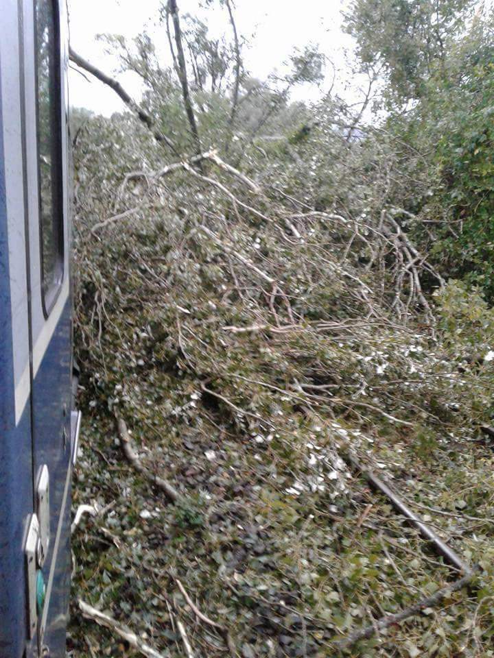 FB_IMG_1505679709035