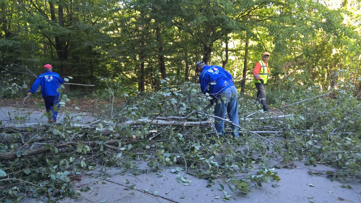 WP_20170918_10_13_33_Pro