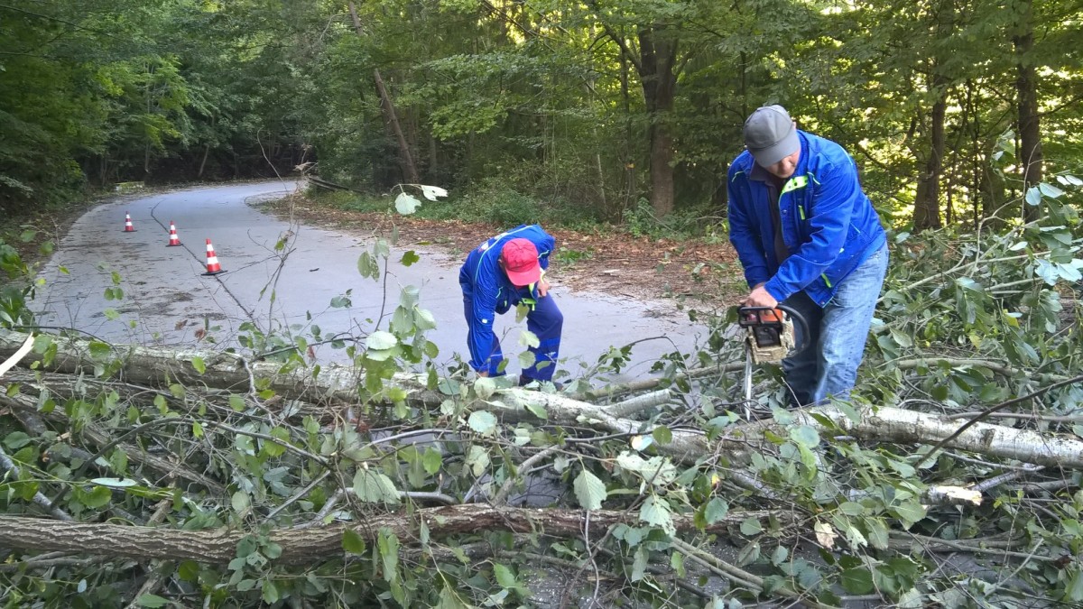 WP_20170918_10_13_42_Pro