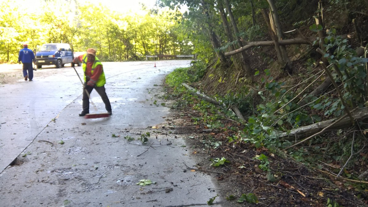 WP_20170918_10_20_13_Pro