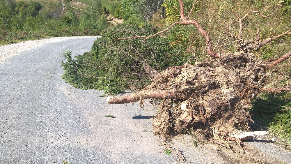 WP_20170918_11_26_00_Pro