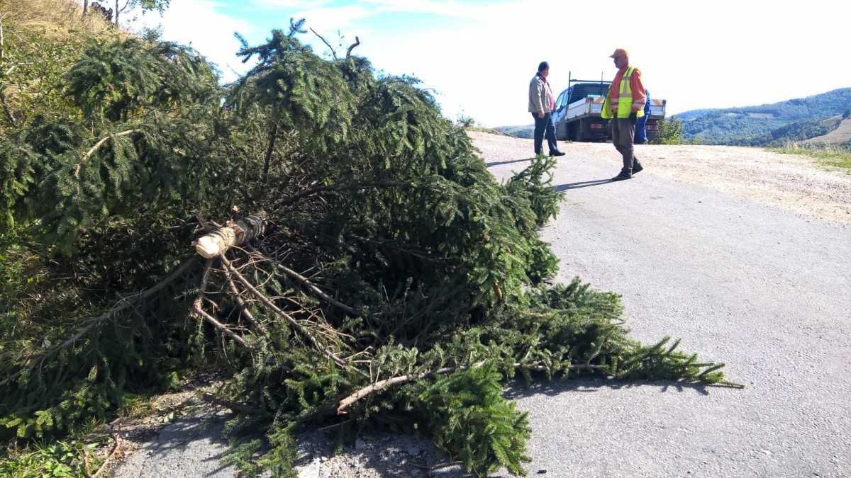 WP_20170918_11_26_32_Pro