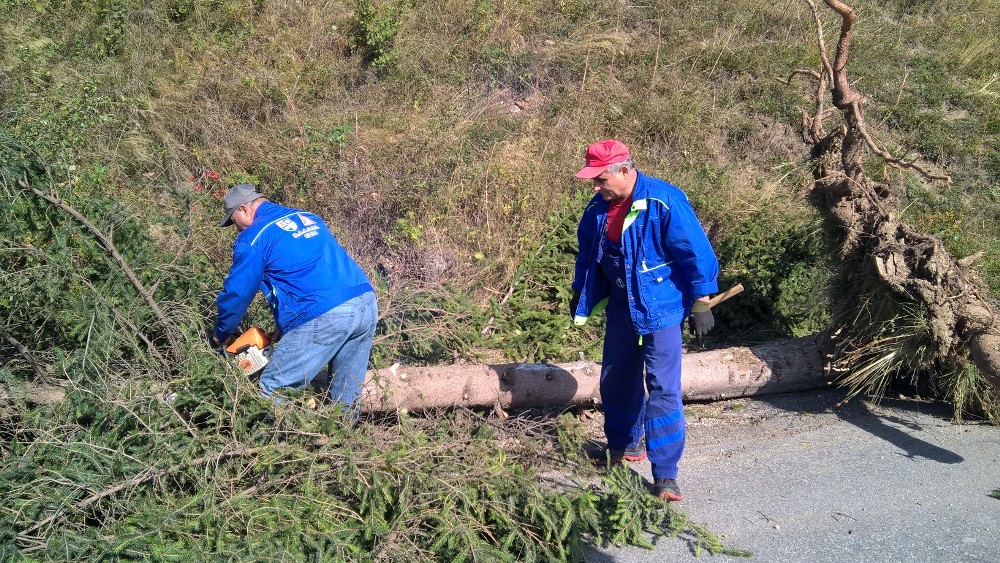 WP_20170918_11_26_54_Pro