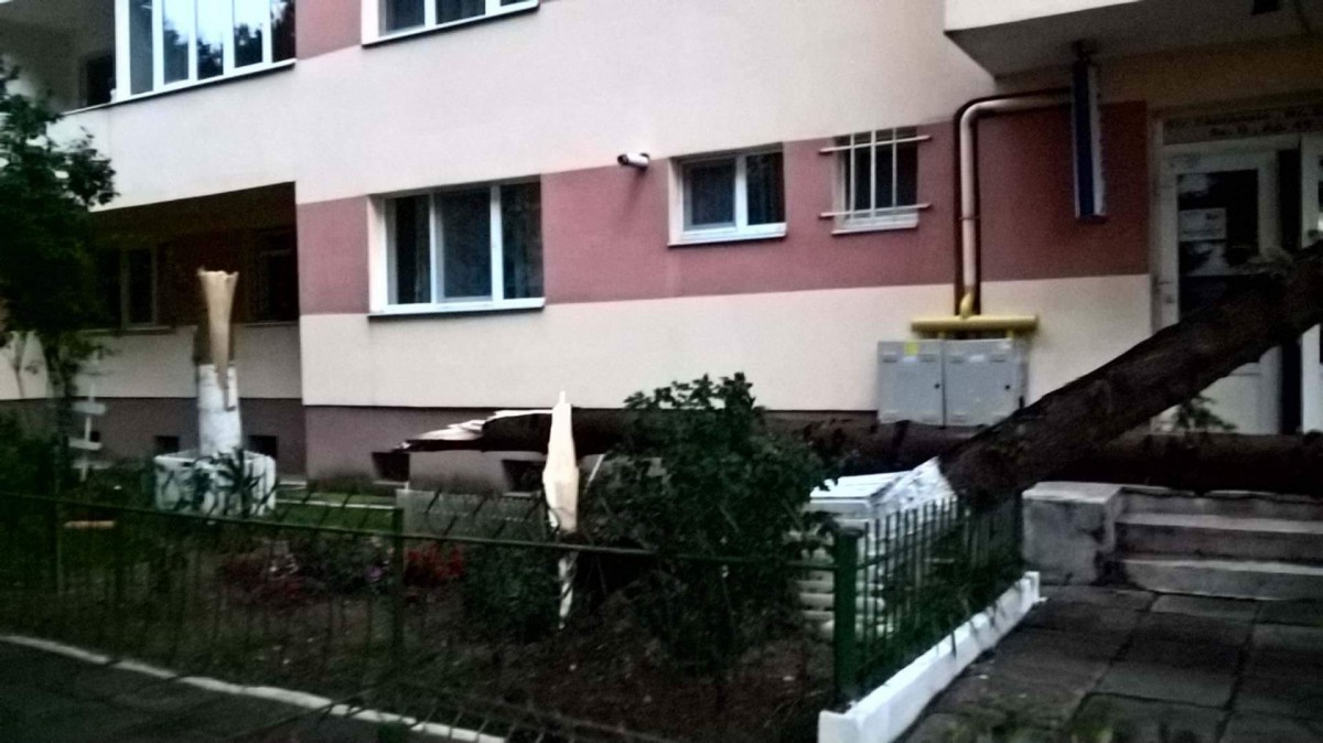 received_525379851135660