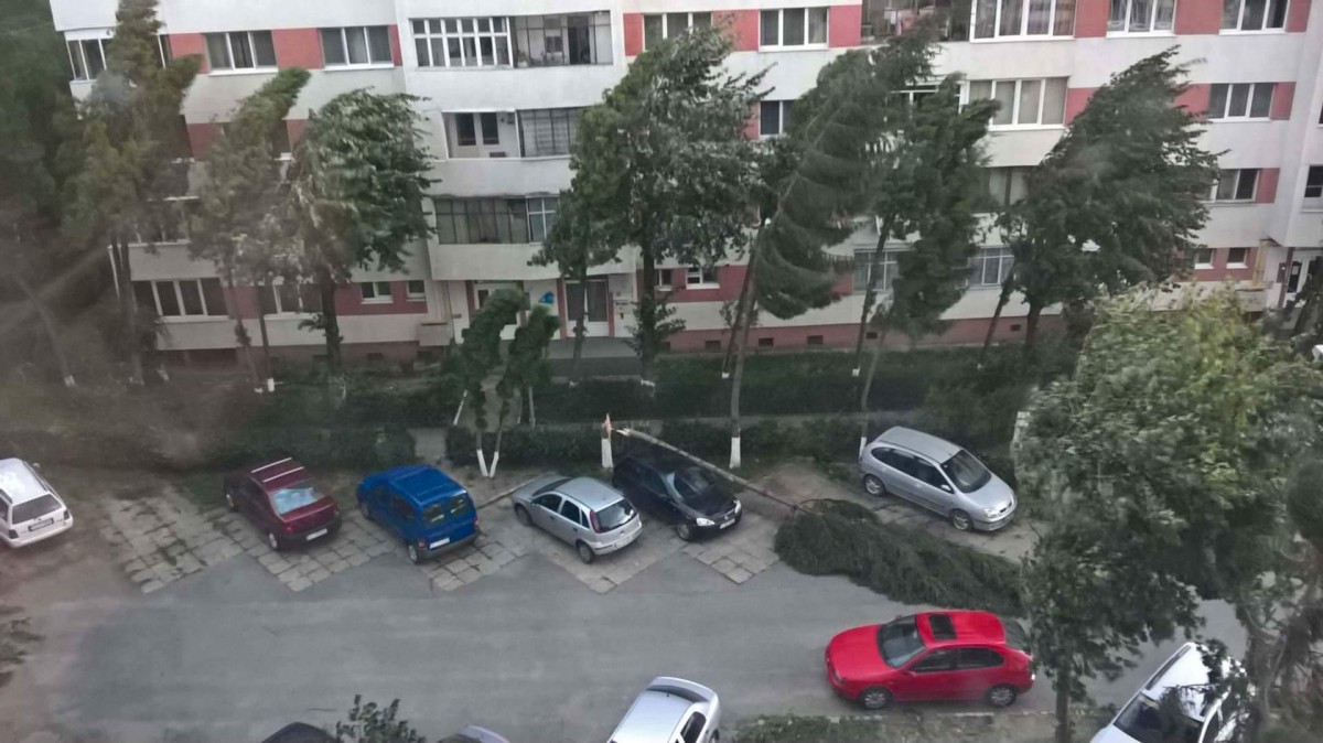 received_525380187802293