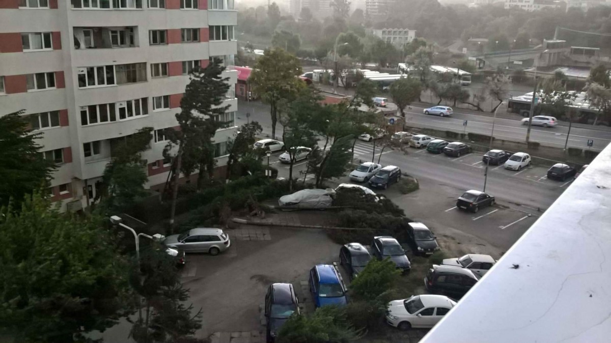 received_525380284468950