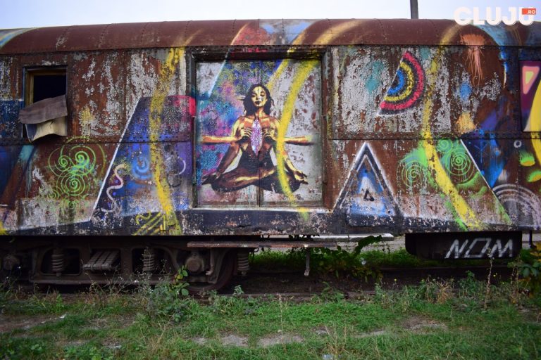 Cele mai spectaculoase picturi murale din Cluj – Napoca (Galerie FOTO) 4 DSC 0113