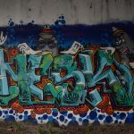 DSC 0129