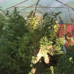 IMG 20171004 WA0008