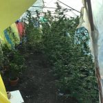 IMG 20171004 WA0009