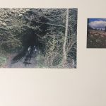 IMG 7129