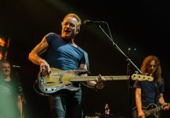 concert sting cluj