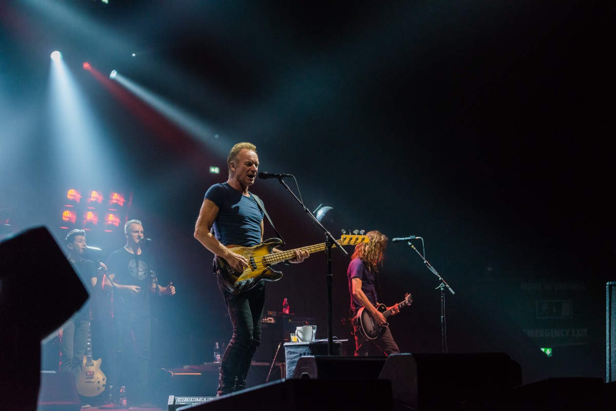 Sting David Vizaknai 29