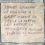 mesaj camin 2