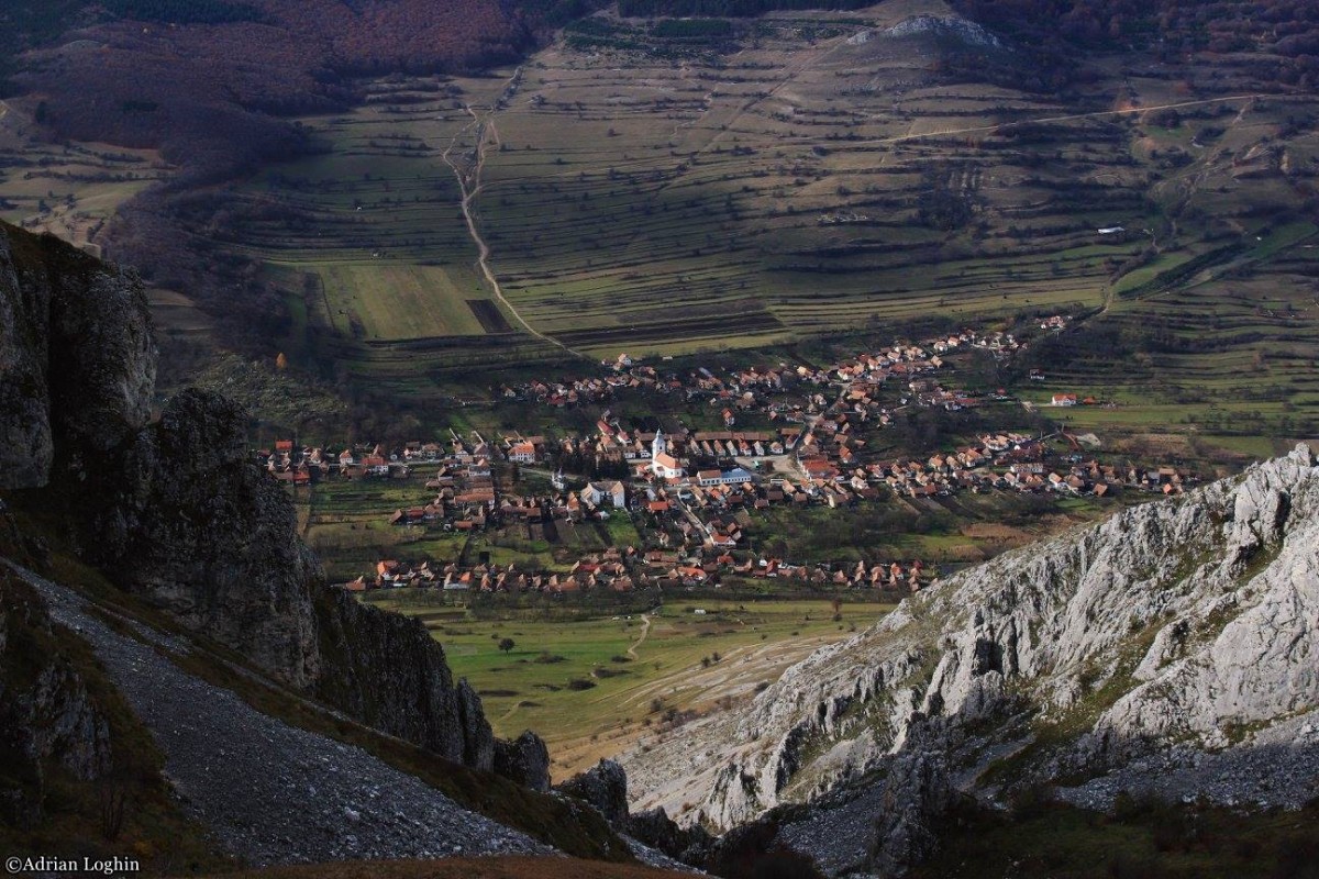 12239163_565977096891498_7087159030178558447_o