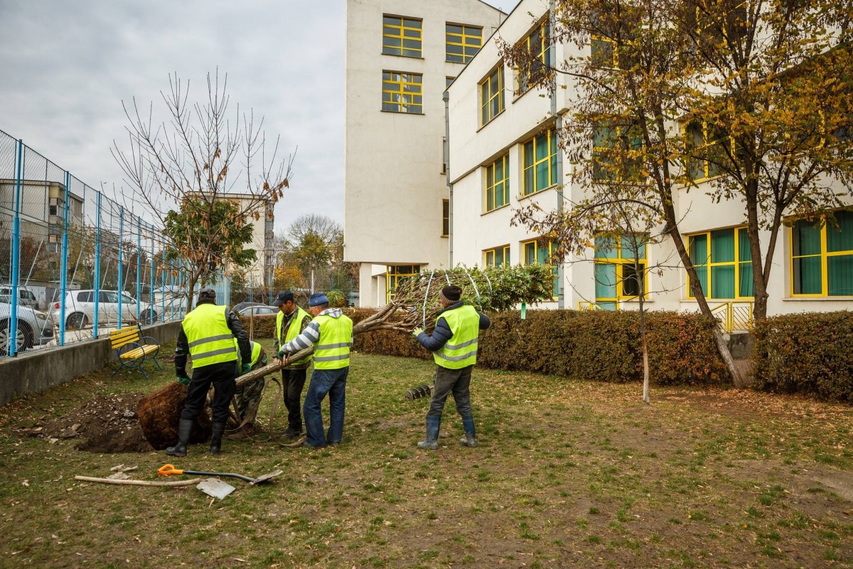 22905010_1525632680858885_5906945748718091610_o