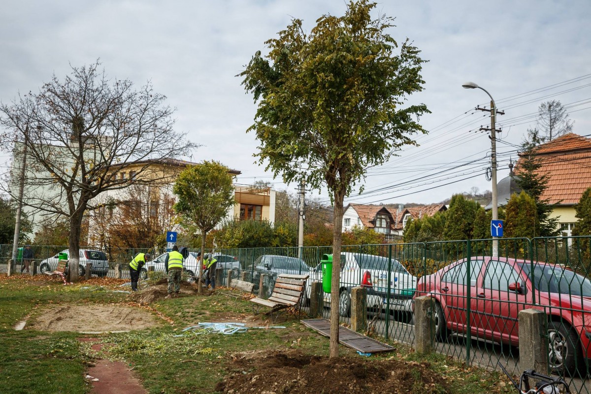 23116700_1525632747525545_5112932228736686460_o