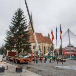 Bradul de Crăciun a fost instalat în Piaţa Unirii din Cluj-Napoca