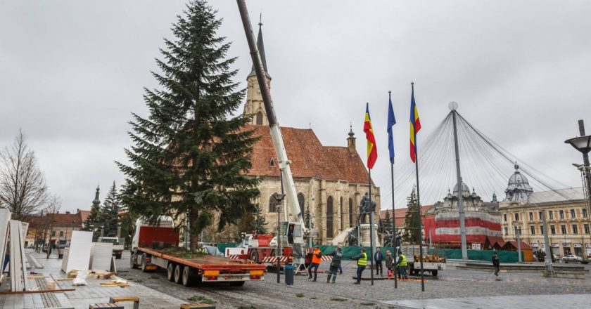 Bradul de Crăciun a fost instalat în Piaţa Unirii din Cluj-Napoca