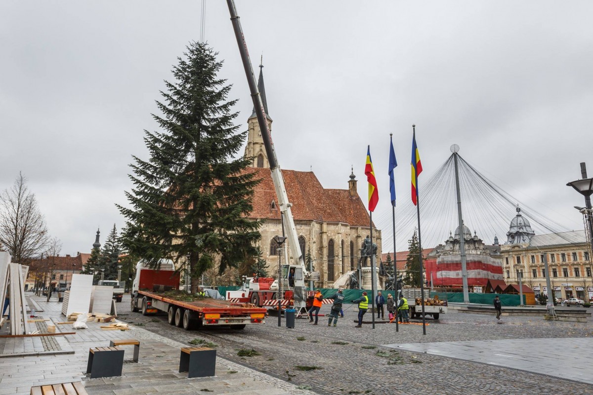 Bradul de Crăciun a fost instalat în Piaţa Unirii din Cluj-Napoca