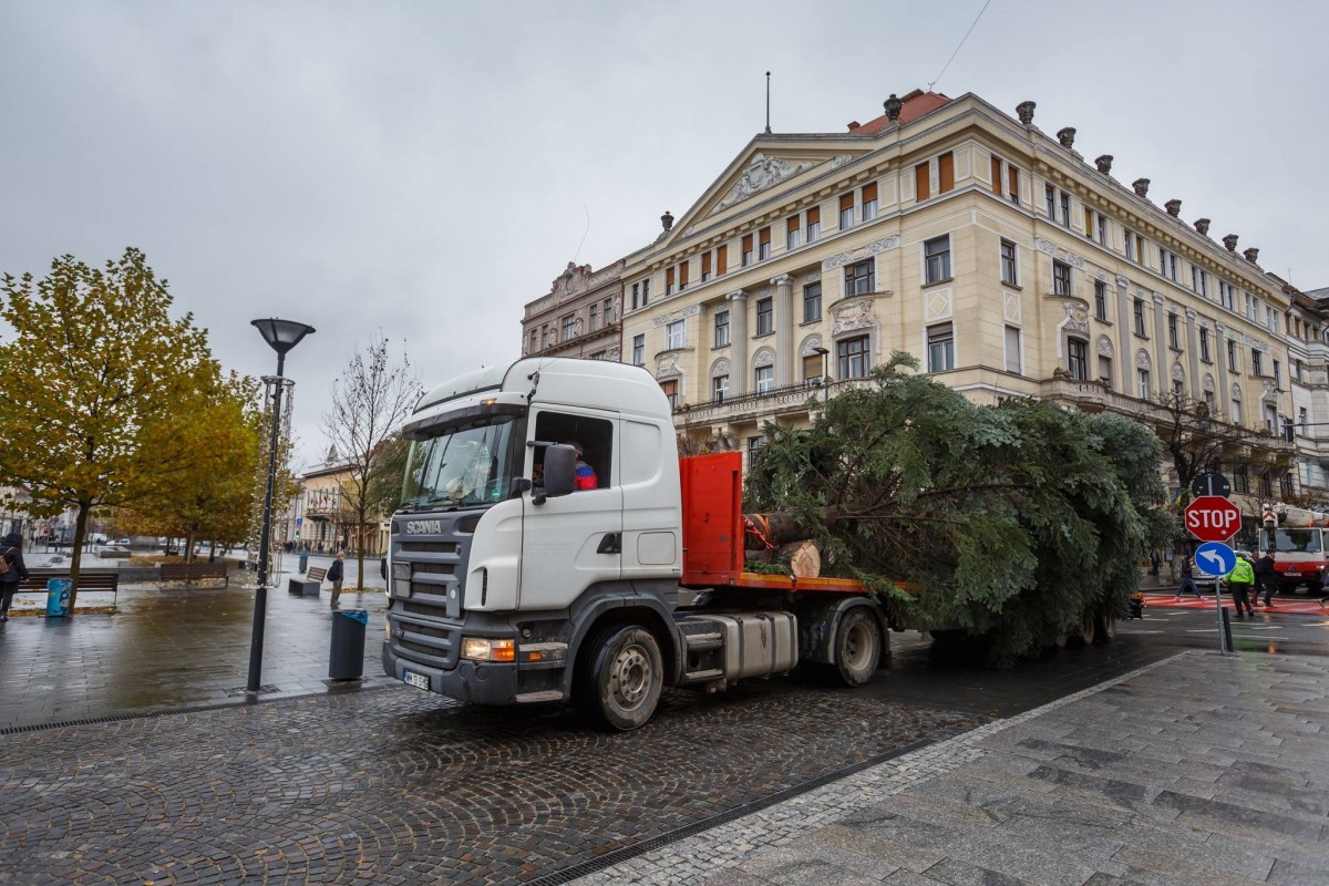 23632793_1751558505148509_7347506491512869901_o