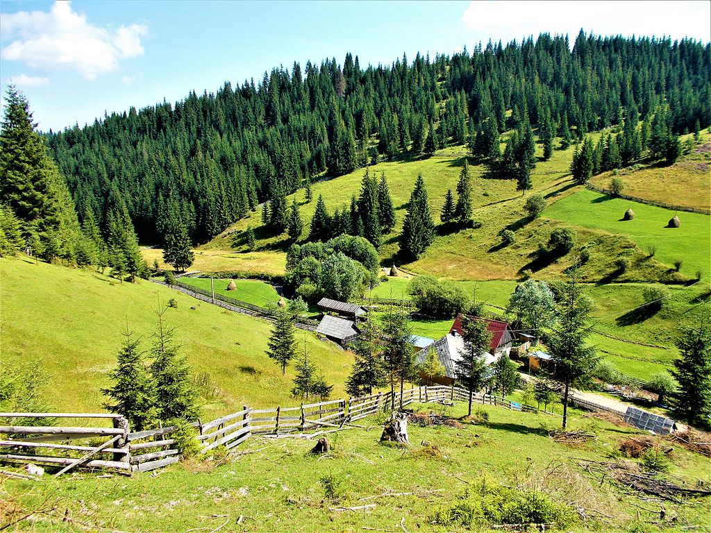 RO CJ Poiana Horea