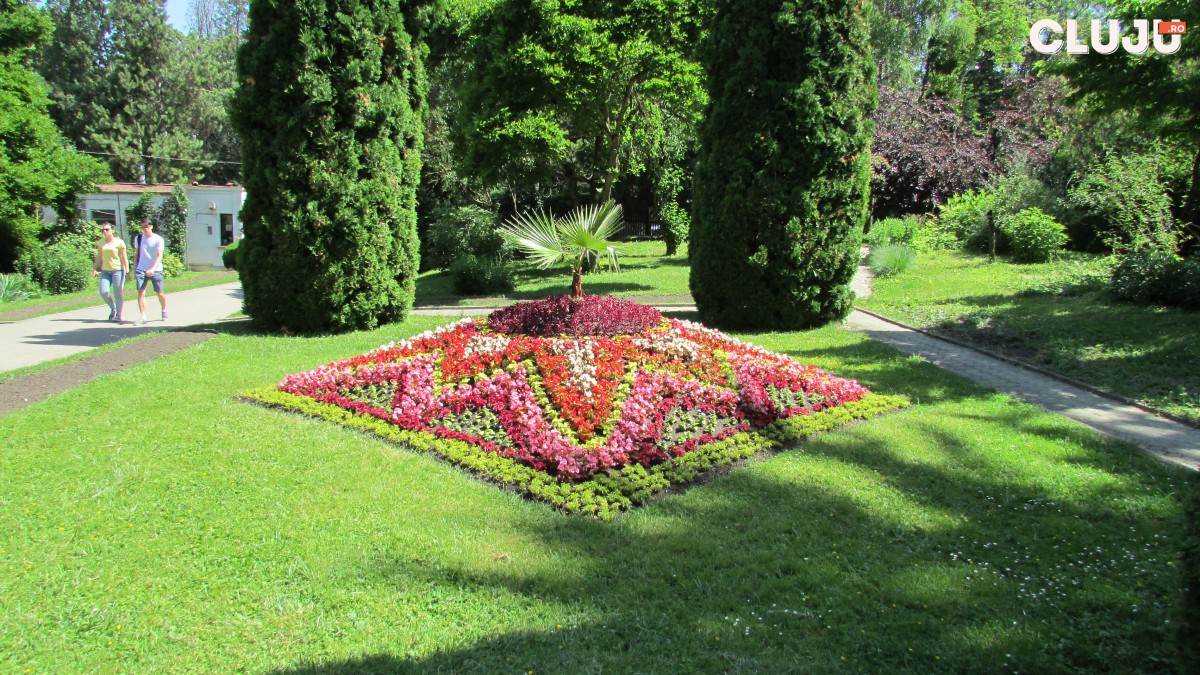 dragina botanica cluj 2
